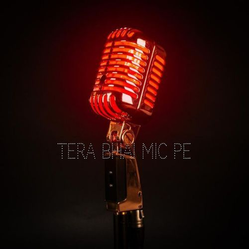 TERA BHAI MIC PE FEELING DILSHAD MP3 Download